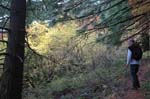 2008_10_30_Mult_Falls_12mi_0441