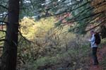 2008_10_30_Mult_Falls_12mi_0442