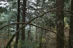 2008_10_30_Mult_Falls_12mi_0444