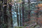 2008_10_30_Mult_Falls_12mi_0446