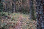 2008_10_30_Mult_Falls_12mi_0447