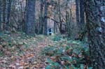 2008_10_30_Mult_Falls_12mi_0448