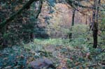 2008_10_30_Mult_Falls_12mi_0449