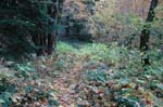 2008_10_30_Mult_Falls_12mi_0450