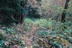 2008_10_30_Mult_Falls_12mi_0451