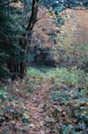 2008_10_30_Mult_Falls_12mi_0452