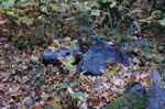 2008_10_30_Mult_Falls_12mi_0453