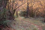 2008_10_30_Mult_Falls_12mi_0456