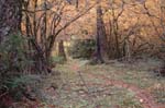 2008_10_30_Mult_Falls_12mi_0458