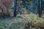 2008_10_30_Mult_Falls_12mi_0459
