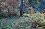 2008_10_30_Mult_Falls_12mi_0460