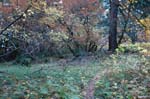 2008_10_30_Mult_Falls_12mi_0461
