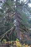 2008_10_30_Mult_Falls_12mi_0463