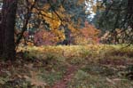 2008_10_30_Mult_Falls_12mi_0464