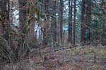 2008_10_30_Mult_Falls_12mi_0469