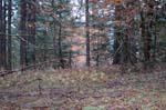 2008_10_30_Mult_Falls_12mi_0471