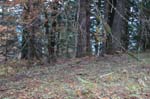 2008_10_30_Mult_Falls_12mi_0472