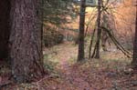 2008_10_30_Mult_Falls_12mi_0475