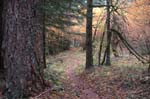 2008_10_30_Mult_Falls_12mi_0476