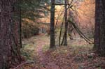 2008_10_30_Mult_Falls_12mi_0477