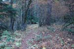 2008_10_30_Mult_Falls_12mi_0481