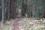 2008_10_30_Mult_Falls_12mi_0486
