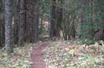 2008_10_30_Mult_Falls_12mi_0487