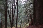 2008_10_30_Mult_Falls_12mi_0489