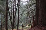 2008_10_30_Mult_Falls_12mi_0490