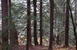 2008_10_30_Mult_Falls_12mi_0491