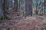 2008_10_30_Mult_Falls_12mi_0492