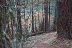 2008_10_30_Mult_Falls_12mi_0494