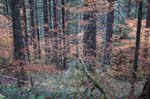 2008_10_30_Mult_Falls_12mi_0495