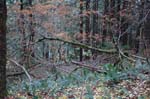 2008_10_30_Mult_Falls_12mi_0496