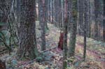 2008_10_30_Mult_Falls_12mi_0497