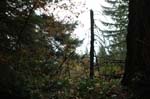 2008_10_30_Mult_Falls_12mi_0498