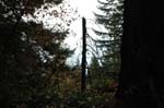 2008_10_30_Mult_Falls_12mi_0499