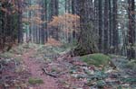 2008_10_30_Mult_Falls_12mi_0500