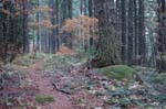 2008_10_30_Mult_Falls_12mi_0501