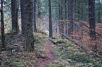 2008_10_30_Mult_Falls_12mi_0502