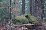 2008_10_30_Mult_Falls_12mi_0503