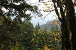 2008_10_30_Mult_Falls_12mi_0504