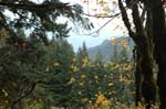 2008_10_30_Mult_Falls_12mi_0505