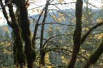 2008_10_30_Mult_Falls_12mi_0506