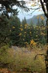 2008_10_30_Mult_Falls_12mi_0507