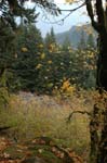 2008_10_30_Mult_Falls_12mi_0513