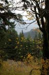 2008_10_30_Mult_Falls_12mi_0514