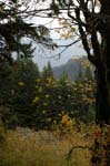 2008_10_30_Mult_Falls_12mi_0515