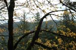 2008_10_30_Mult_Falls_12mi_0517