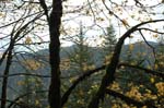 2008_10_30_Mult_Falls_12mi_0518